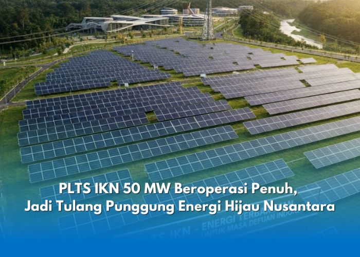 IKN Semakin Hijau: PLTS 50 MW Senilai Rp 900 Miliar Jadi Tulang Punggung Kelistrikan Ibu Kota Baru
